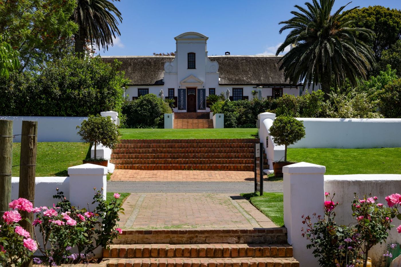 Formal garden steps with planted beds either side