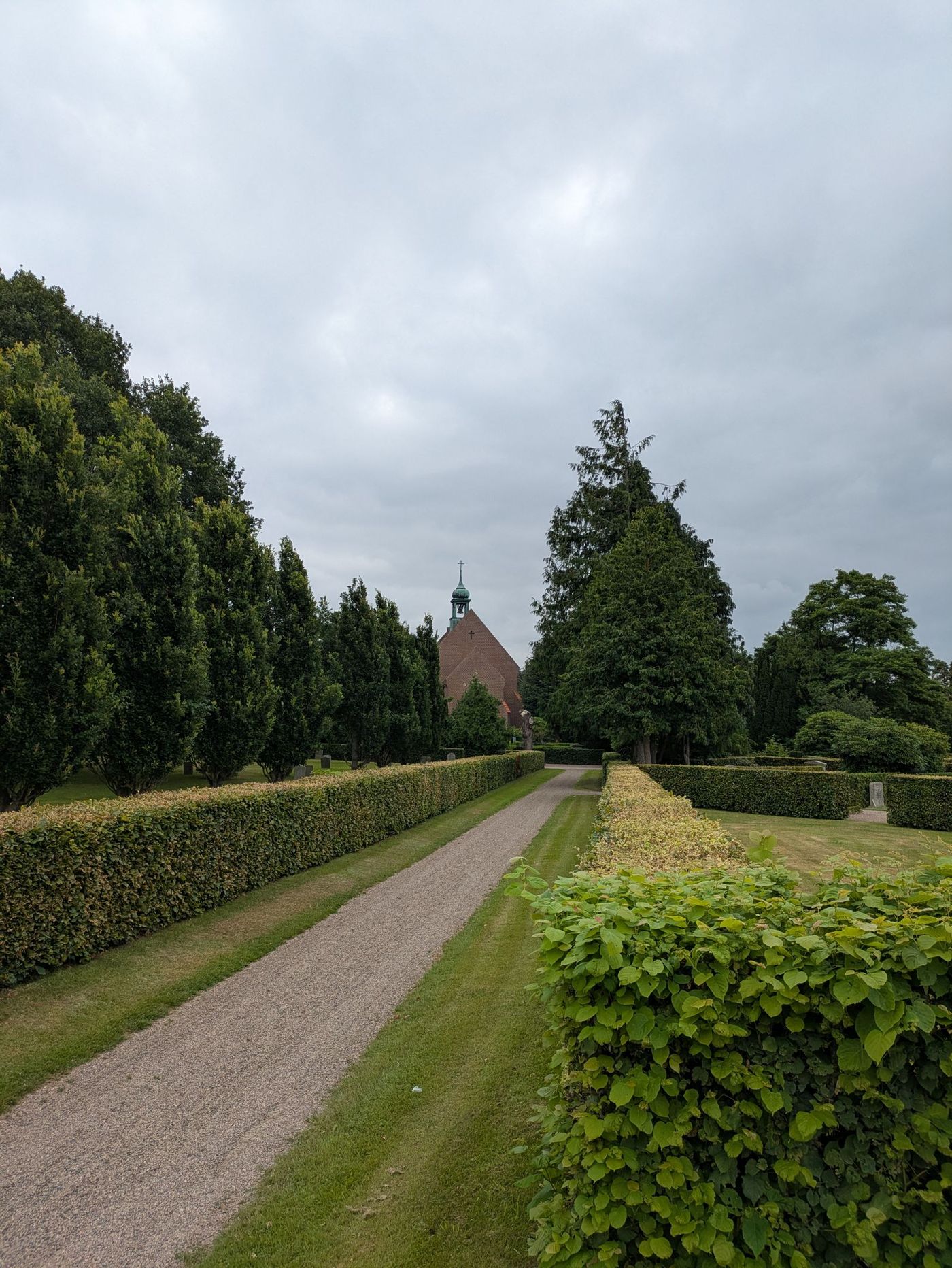 Clipped hedges and trees along a garden lawn