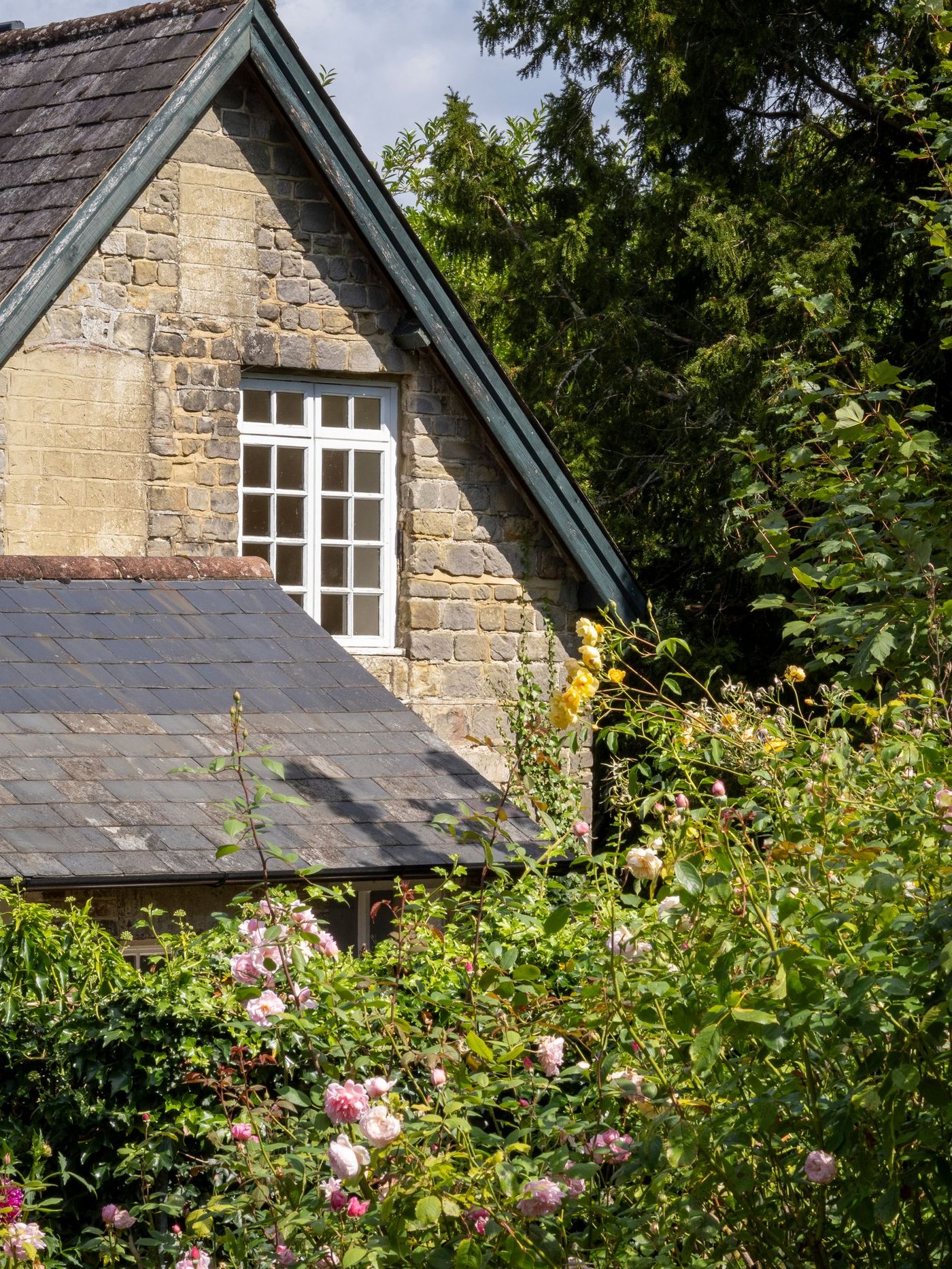 Home Stone cottage with climbing plants and a planted front garden