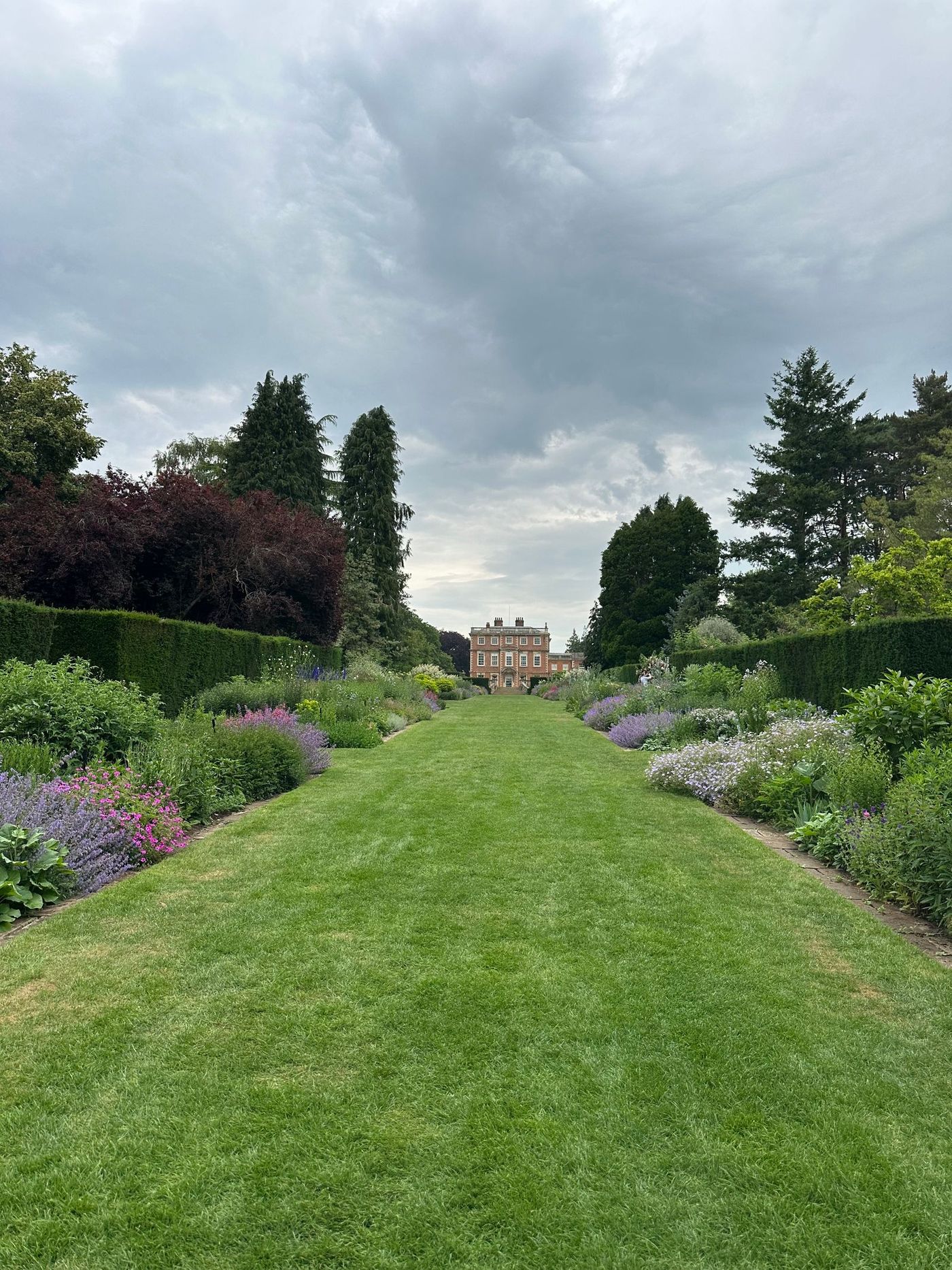 Home Mown lawn with clipped hedging and a garden path