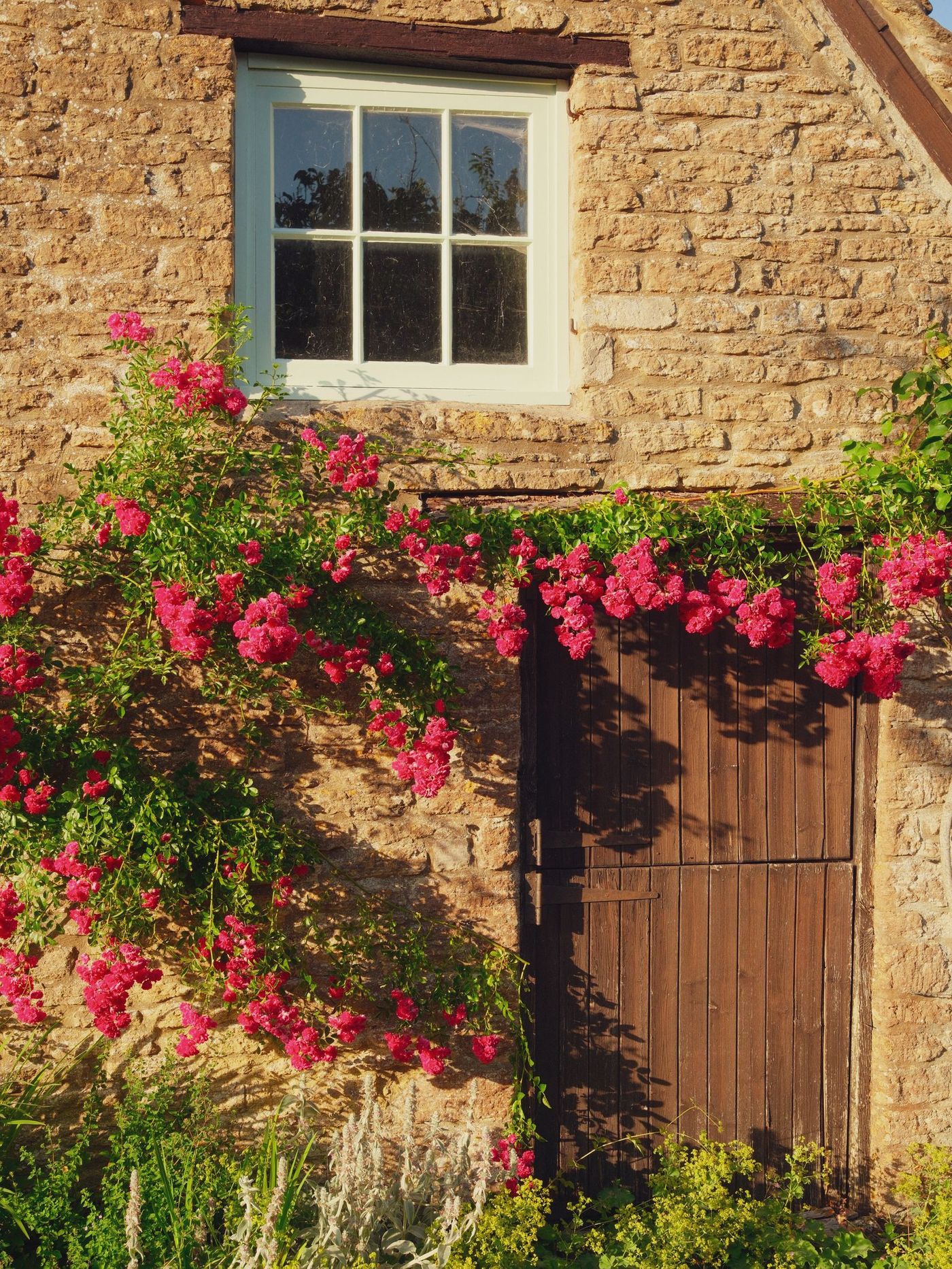 Home Stone cottage with a red door framed by climbing plants