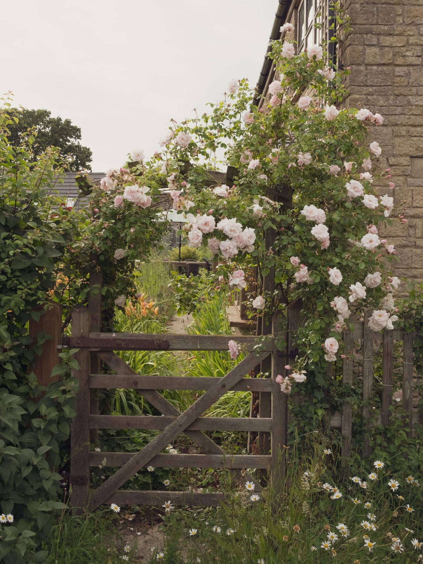 Home Timber garden gate with climbing plants and a gravel path