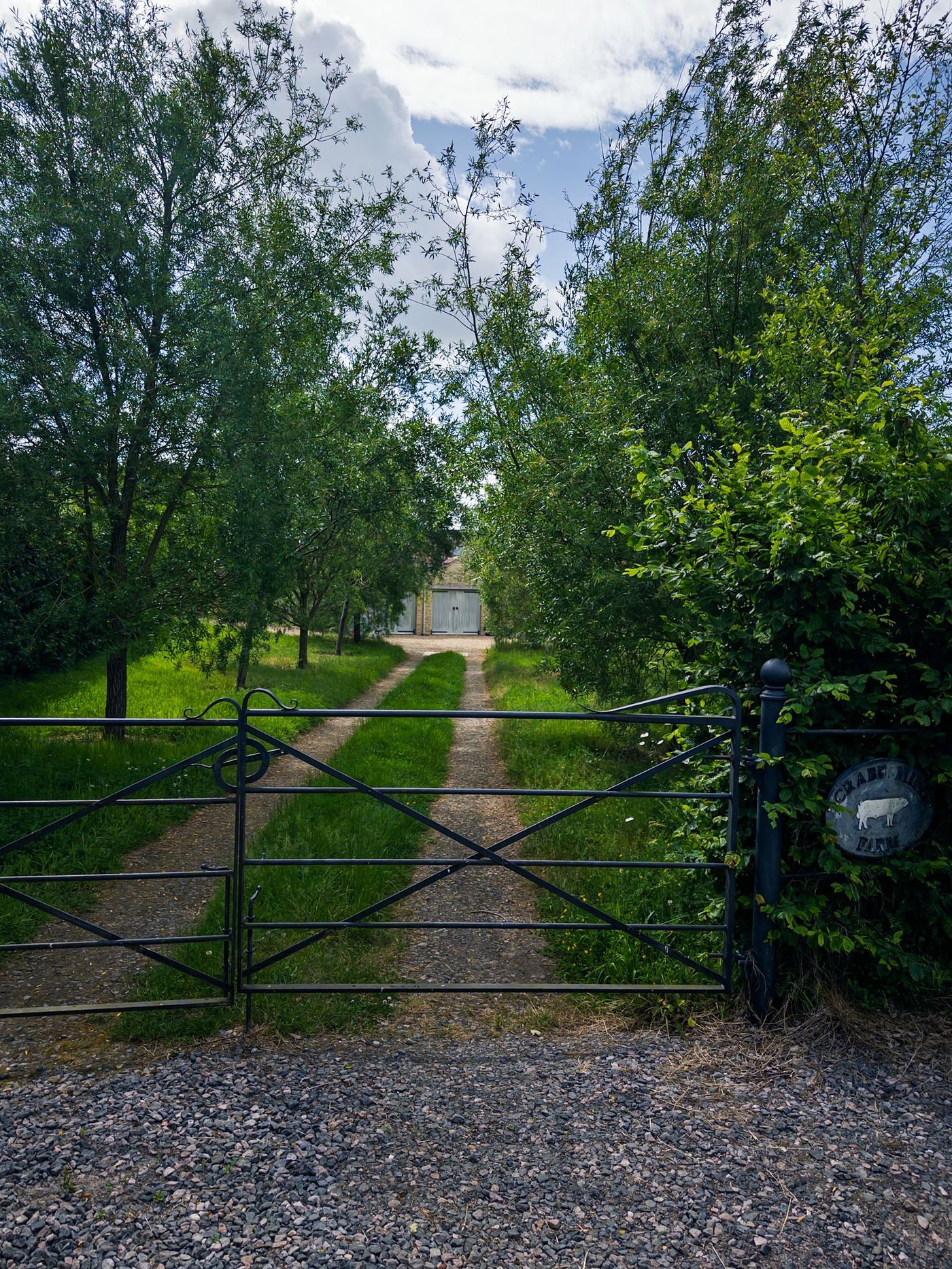 Home Gravel path running between clipped hedges