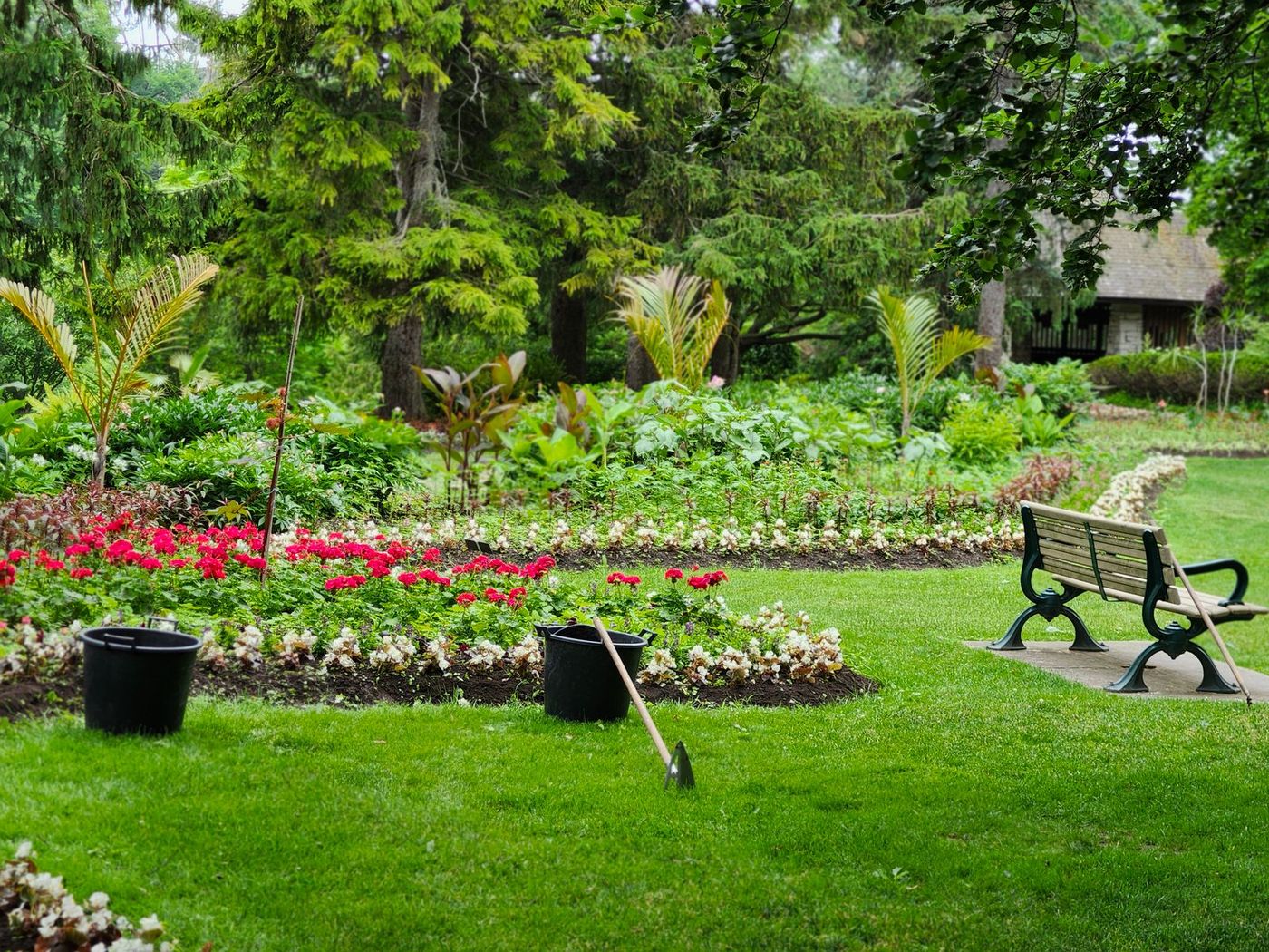 Green lawn beside a planted flower bed and garden bench