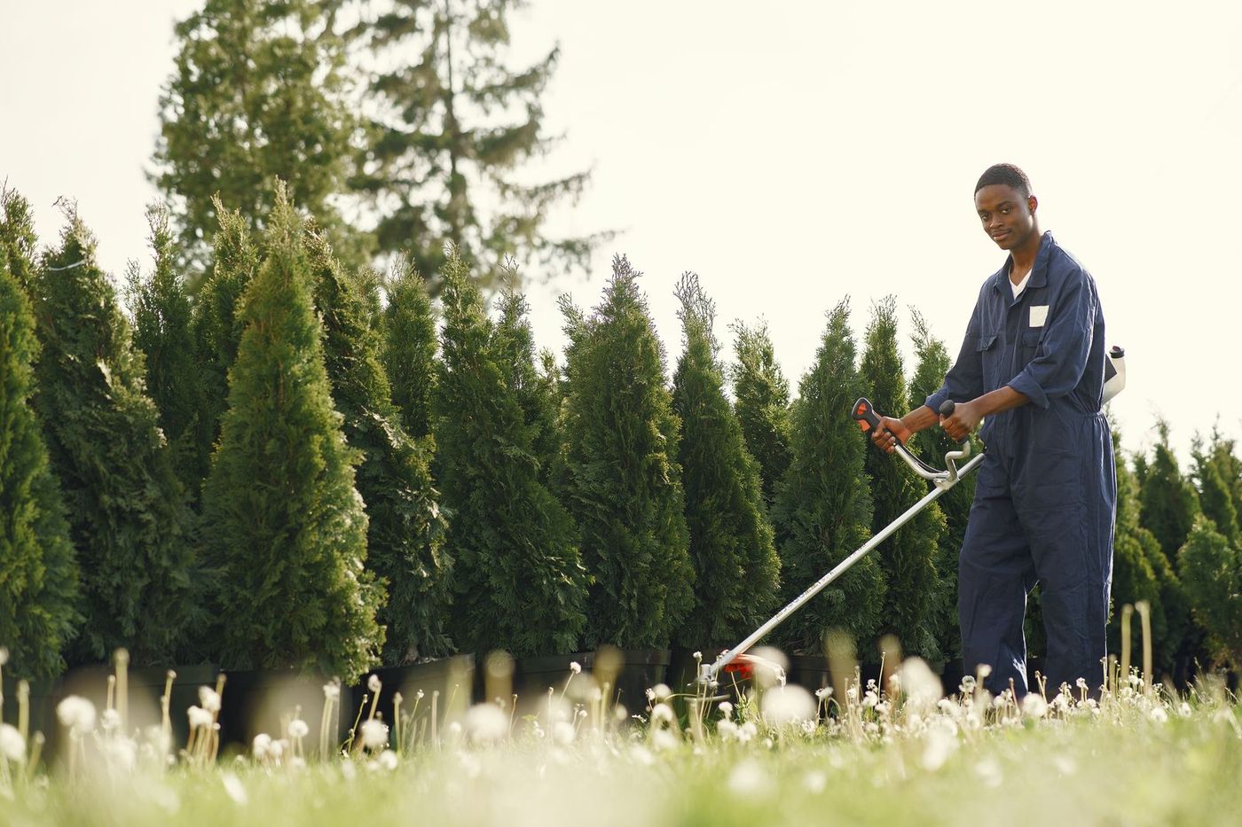 Gardener trimming hedging and keeping borders in order